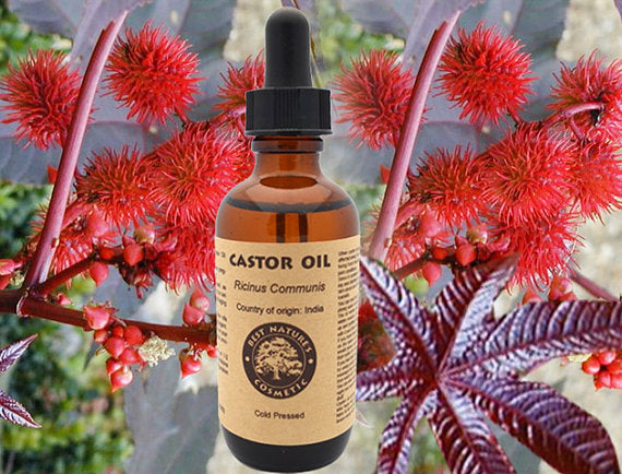 Castor Oil (Organic, Expeller Pressed) for dry Yellow Poppy