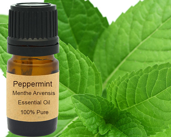 Peppermint Essential Oil  5 ml, 10 ml or 15 ml Yellow Poppy