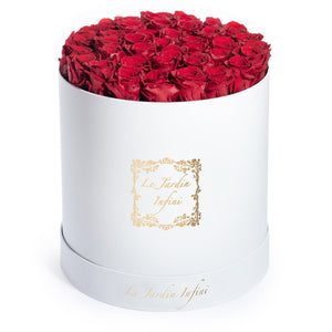 Red Preserved Roses - Large Round White Box