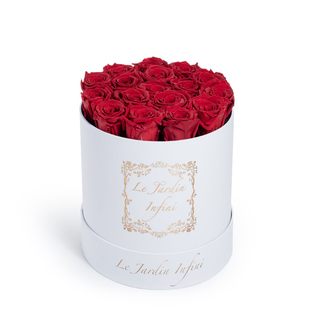 red preserved roses