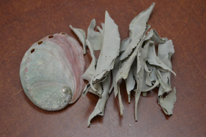 Loose White Sage With Mini Abalone Shell Set