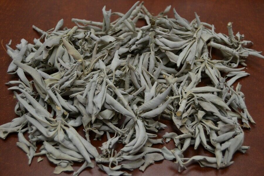 1 Pound California White Sage Fresh Cluster Herb Incense Grey Aphrodite