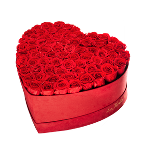 55-65 Red Preserved Roses in A Heart Shaped Box- Medium Heart Luxury Castorite