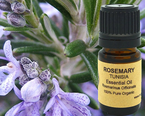 Rosemary Essential Oil (Organic) 5 ml, 10 ml or 15 Yellow Poppy