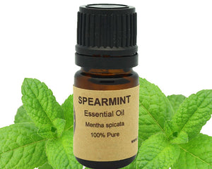 Spearmint Essential Oil 5 ml, 10 ml  or 15 ml Yellow Poppy