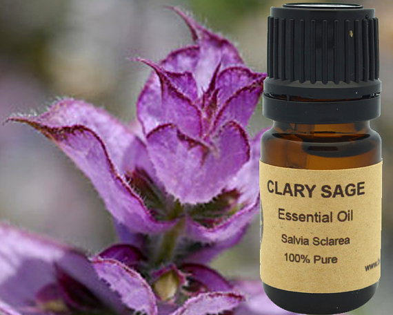 Clary Sage Essential Oil 5 ml, 10 ml, 15 ml Yellow Poppy