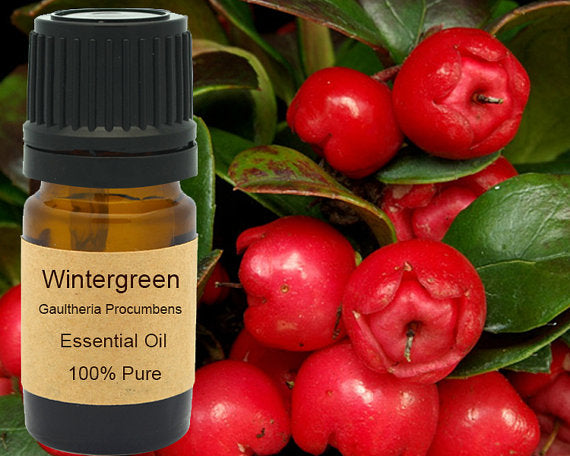 Wintergreen Essential Oil  5 ml, 10 ml or 15 ml Yellow Poppy