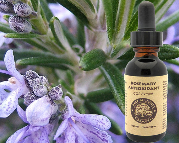 Natural Rosemary Antioxidant - Natural Yellow Poppy