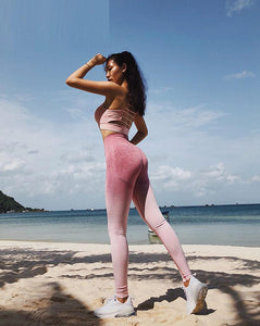 Shark Energy Ombre Seamless Leggings High Waist Yoga Pants Workout Gym