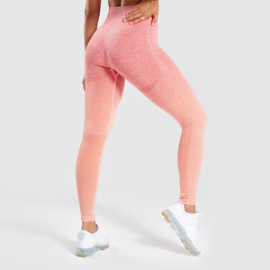 Shark Energy Ombre Seamless Leggings High Waist Yoga Pants Workout Gym
