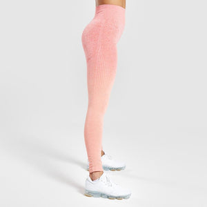 Shark Energy Ombre Seamless Leggings High Waist Yoga Pants Workout Gym